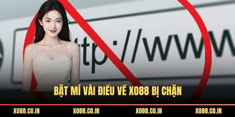 Bật mí vài điều về XO88 bị chặn