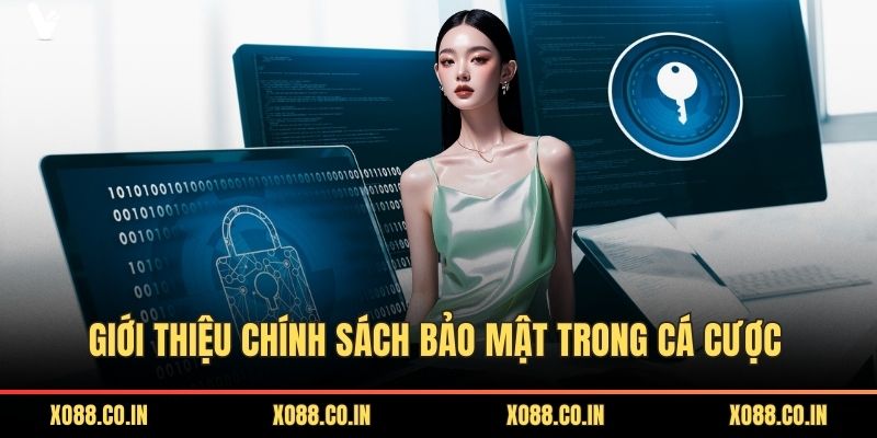 Giới thiệu chính sách bảo mật trong cá cược 